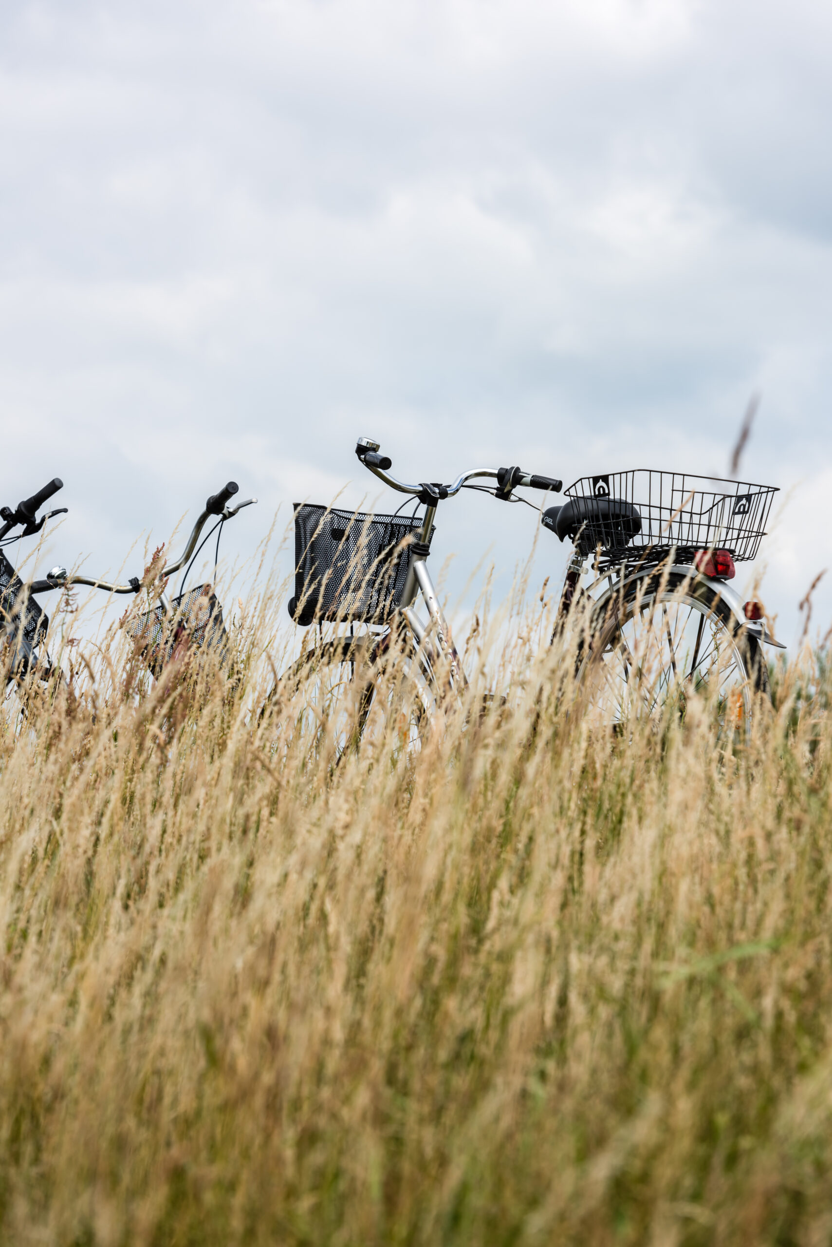 © diePrignitz.de